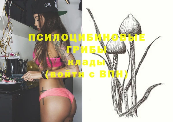 а пвп мука Кукмор