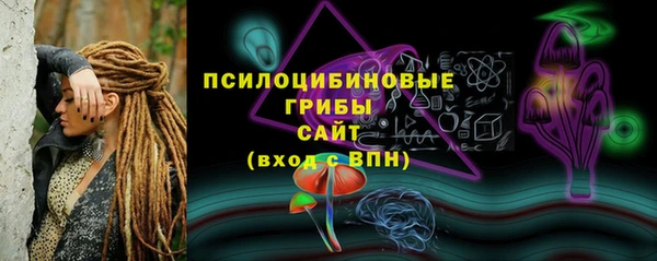 а пвп мука Кукмор