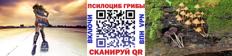 Псилоцибиновые грибы GOLDEN TEACHER  Новошахтинск 
